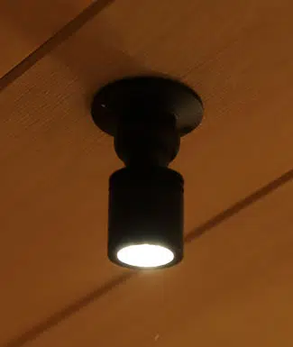 finnleo custom lighting led gimbal spotlight.jpg
